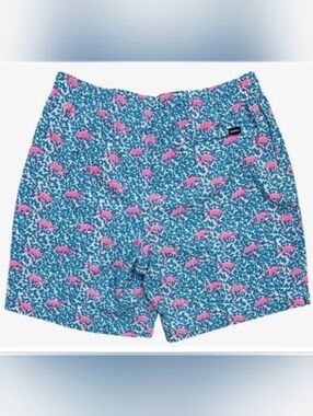 Chubbies the Domingos are for Flamingos swim trunks.